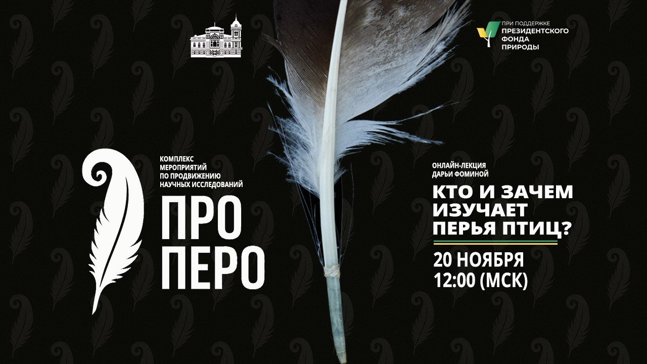 Кто и зачем изучает перья птиц?