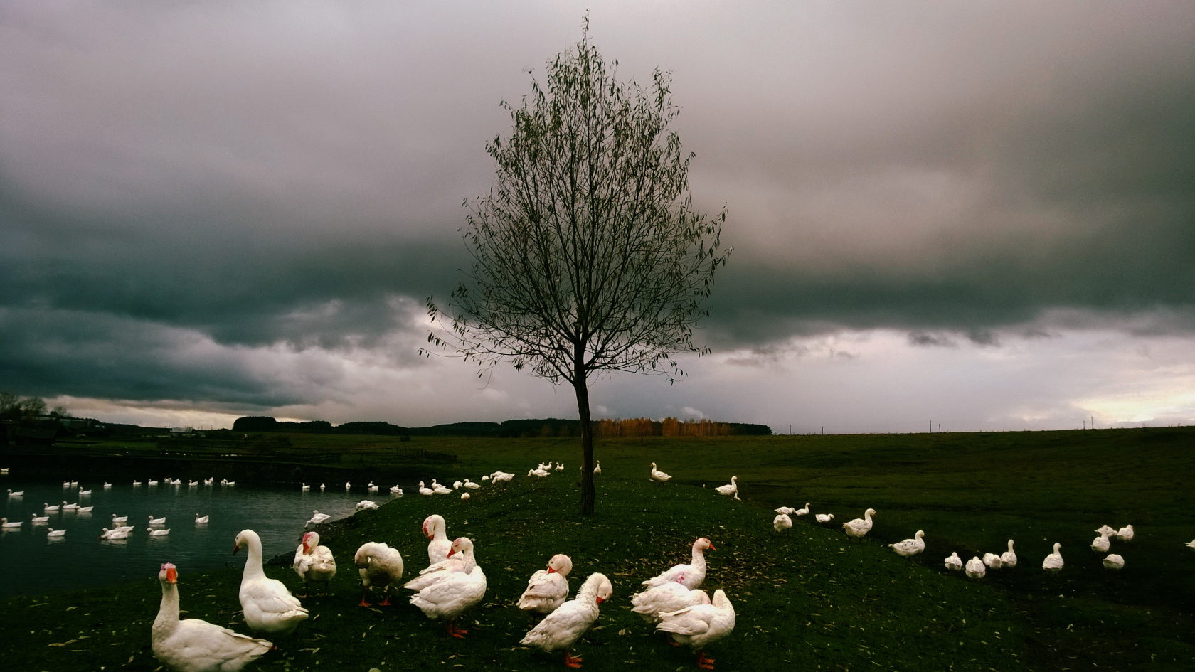 Сказочная гостиная РГО