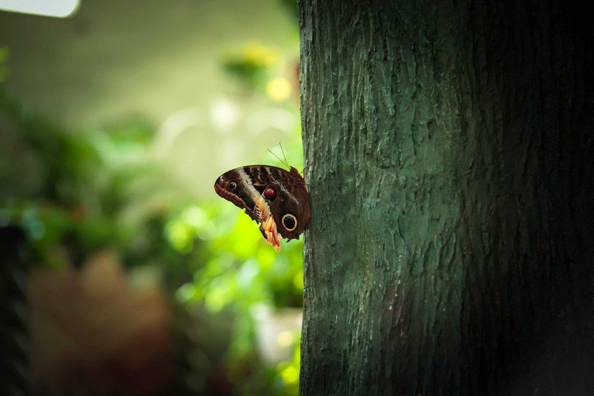 Форум «Добровольная лесная сертификация в России: доверие, качество, устойчивость»