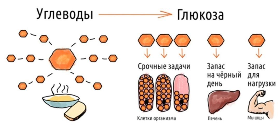 Лекция про сладкое �