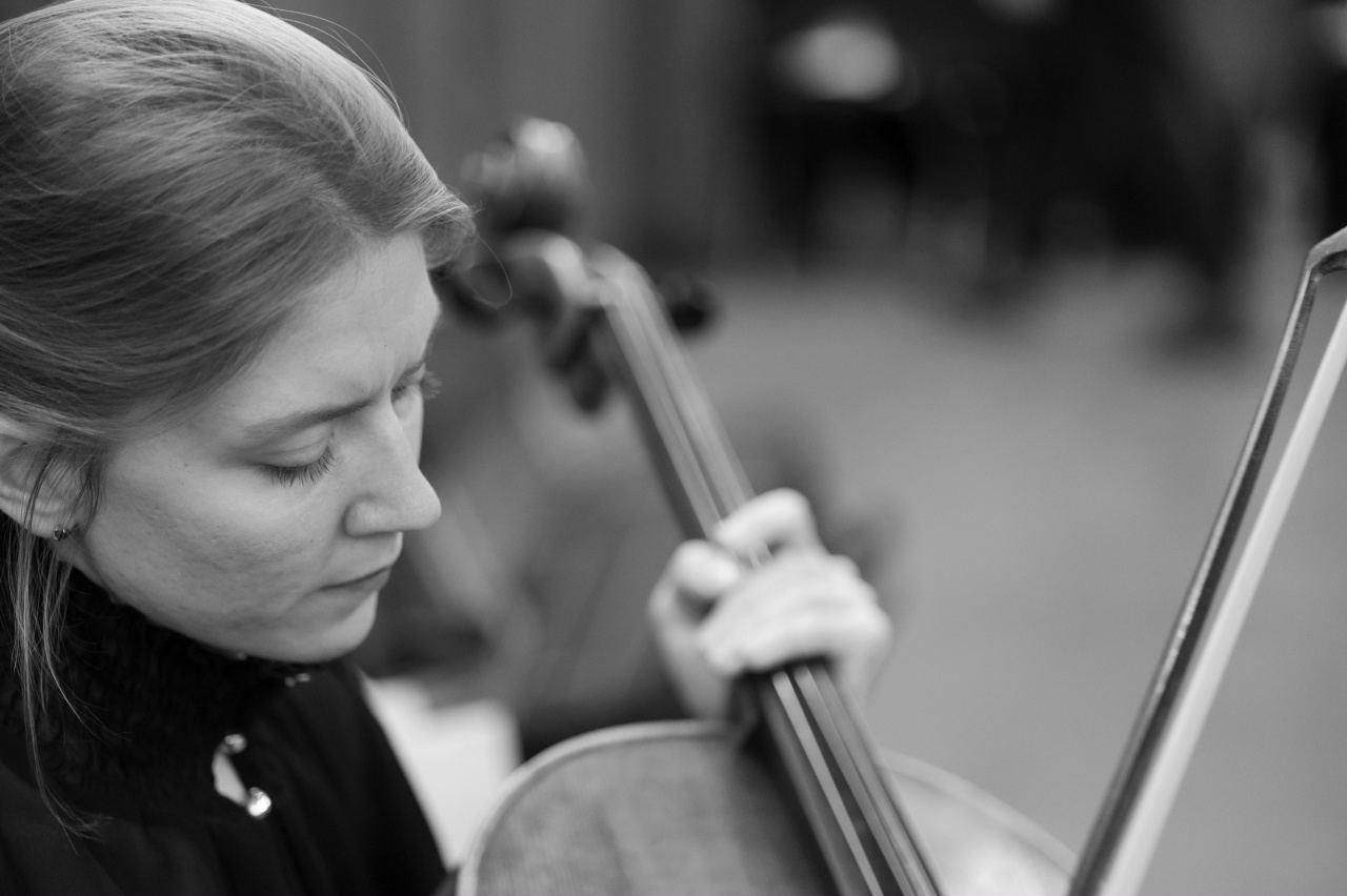 Вечер камерной музыки