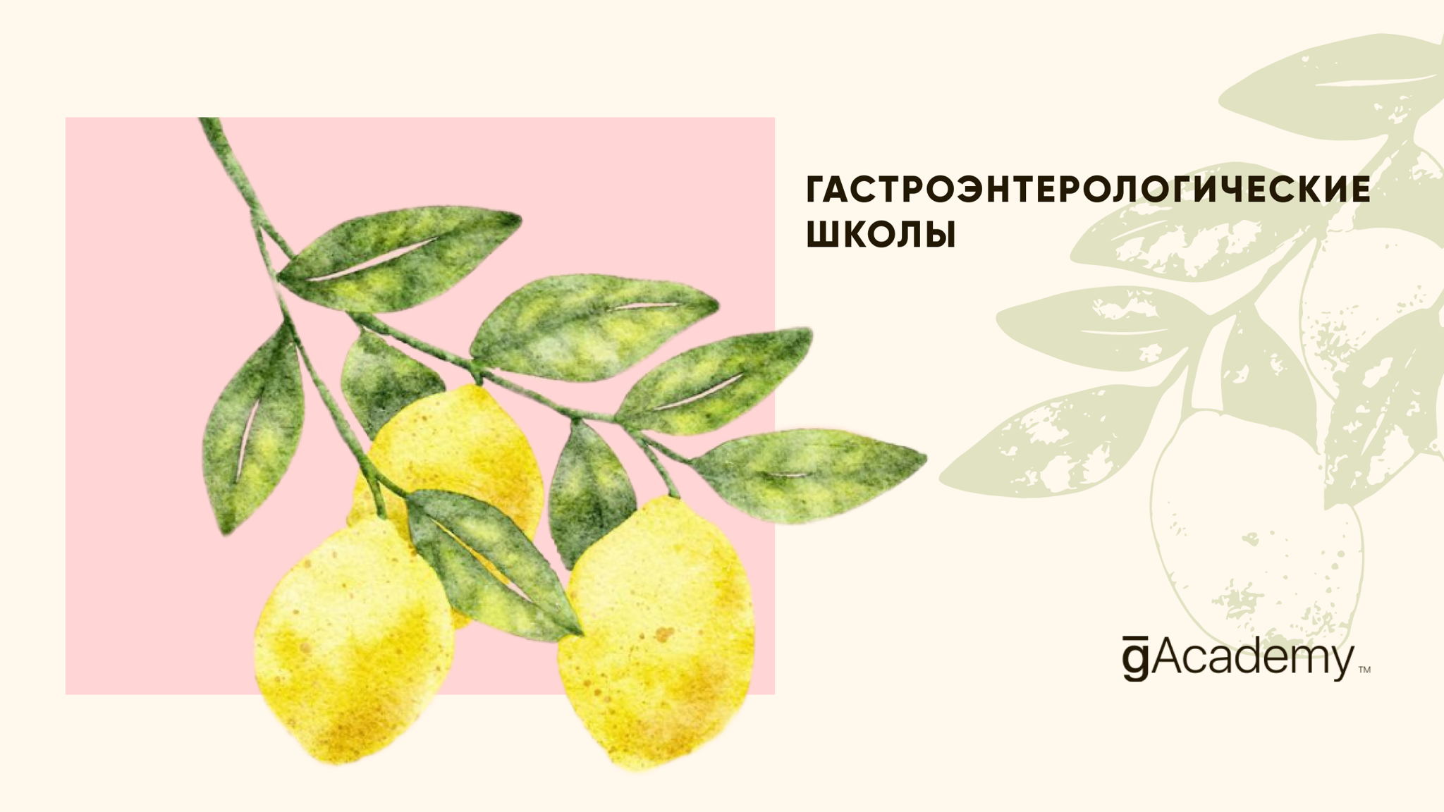 Мастер-класс «Современные возможности ультразвуковых и лабораторных методов исследования при патологиях печени»