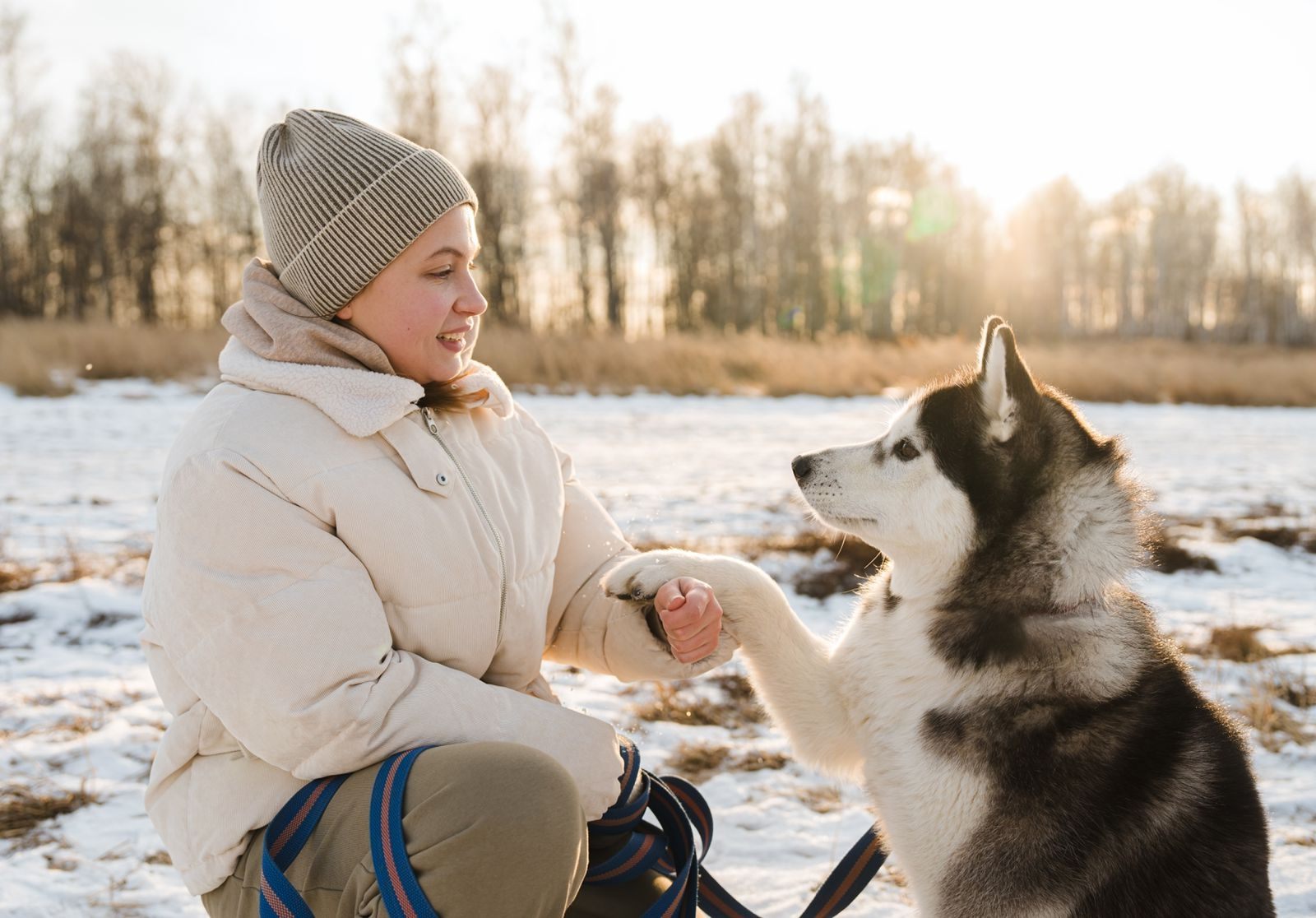 Встреча с северным ветром: зимний выезд в приют Huskyеkb