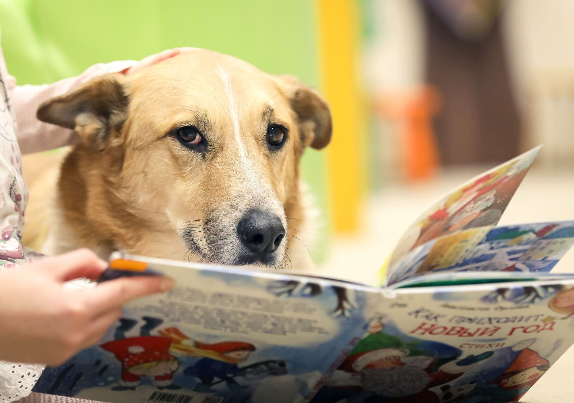 Чтение книг "Добро вместе"