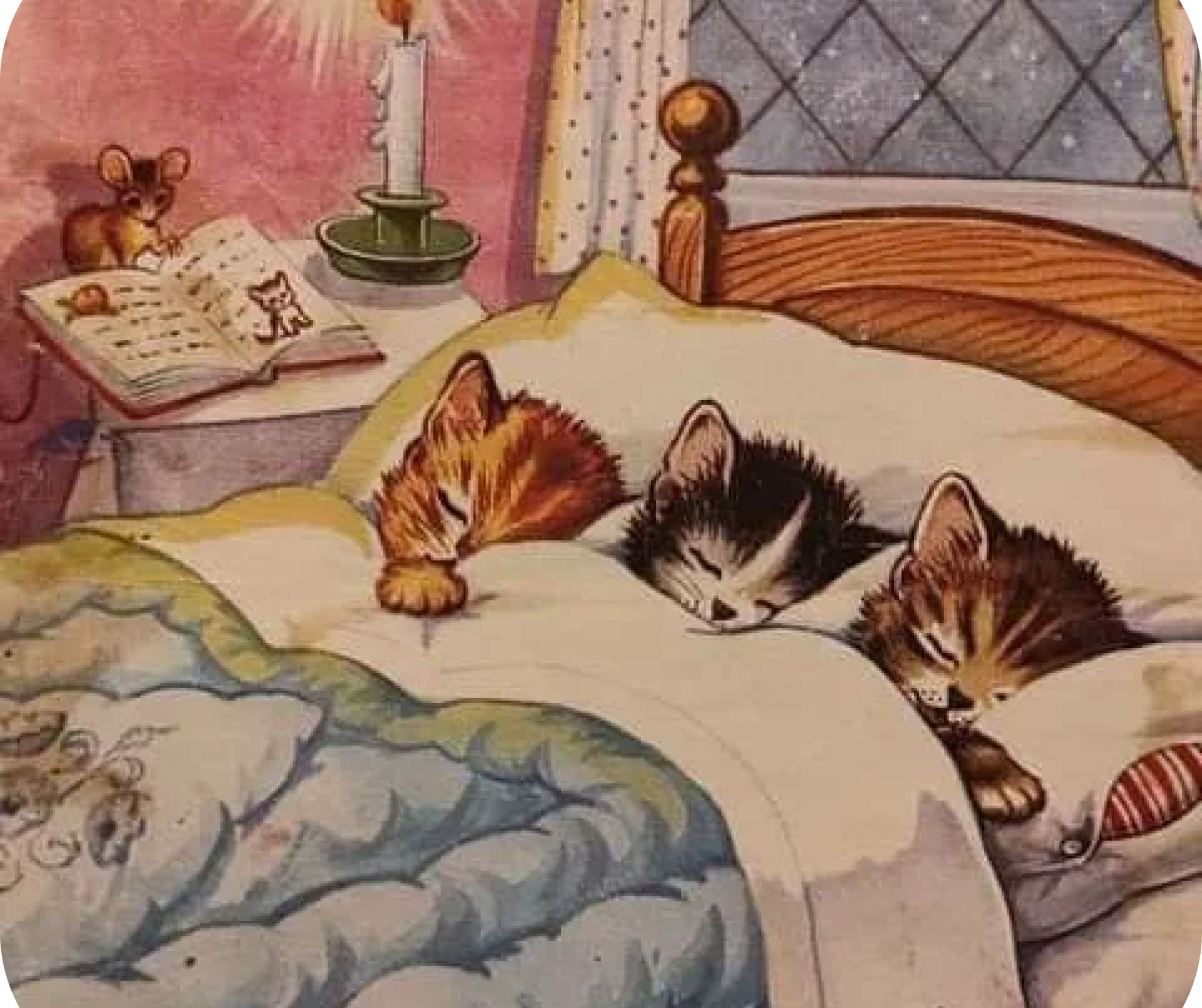 Здравствуйте, Ваше Кошательство