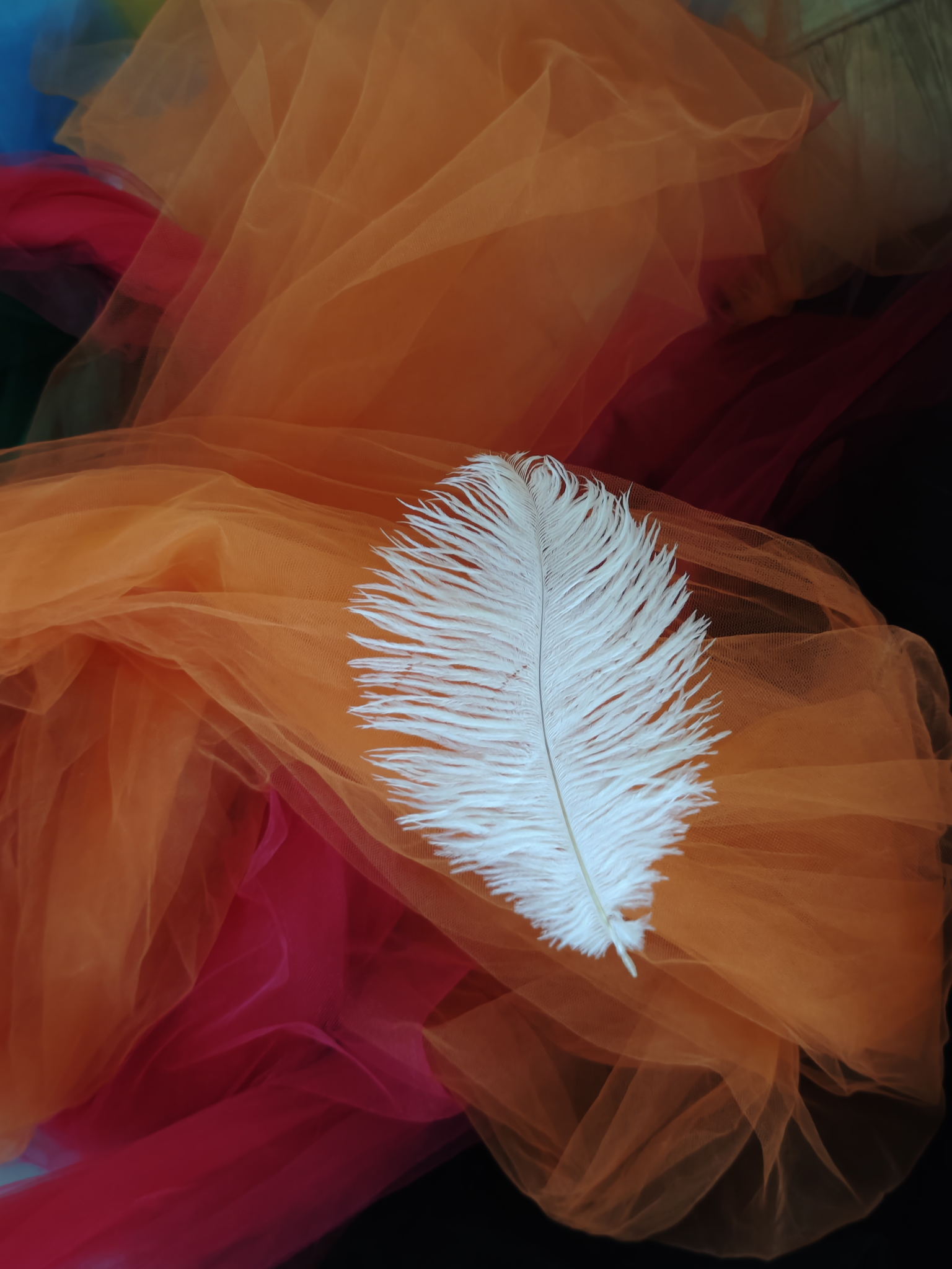 Возвращение души. Семинар в Санкт-Петербурге