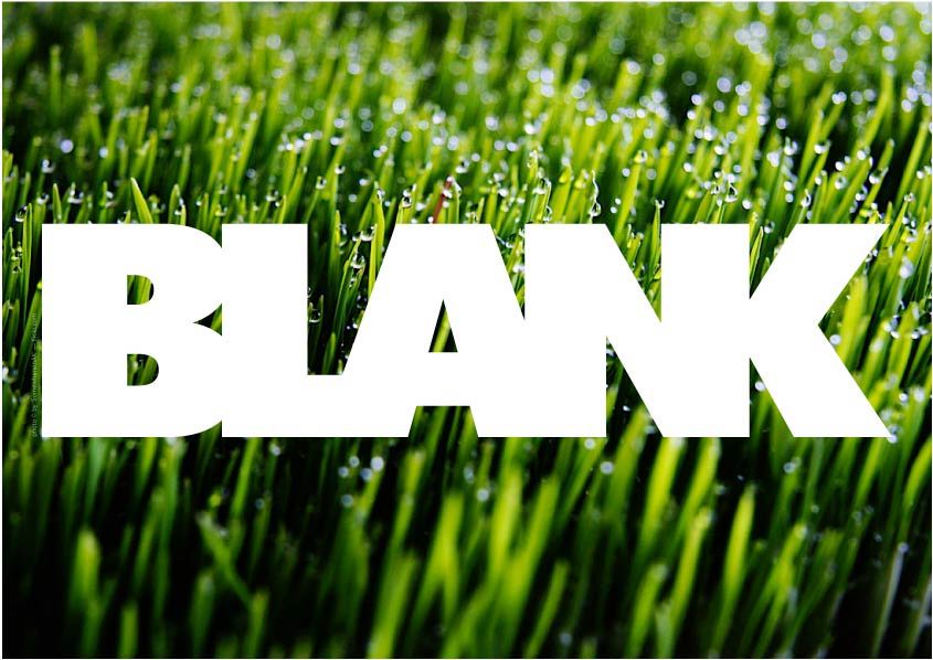 BLANK magazine