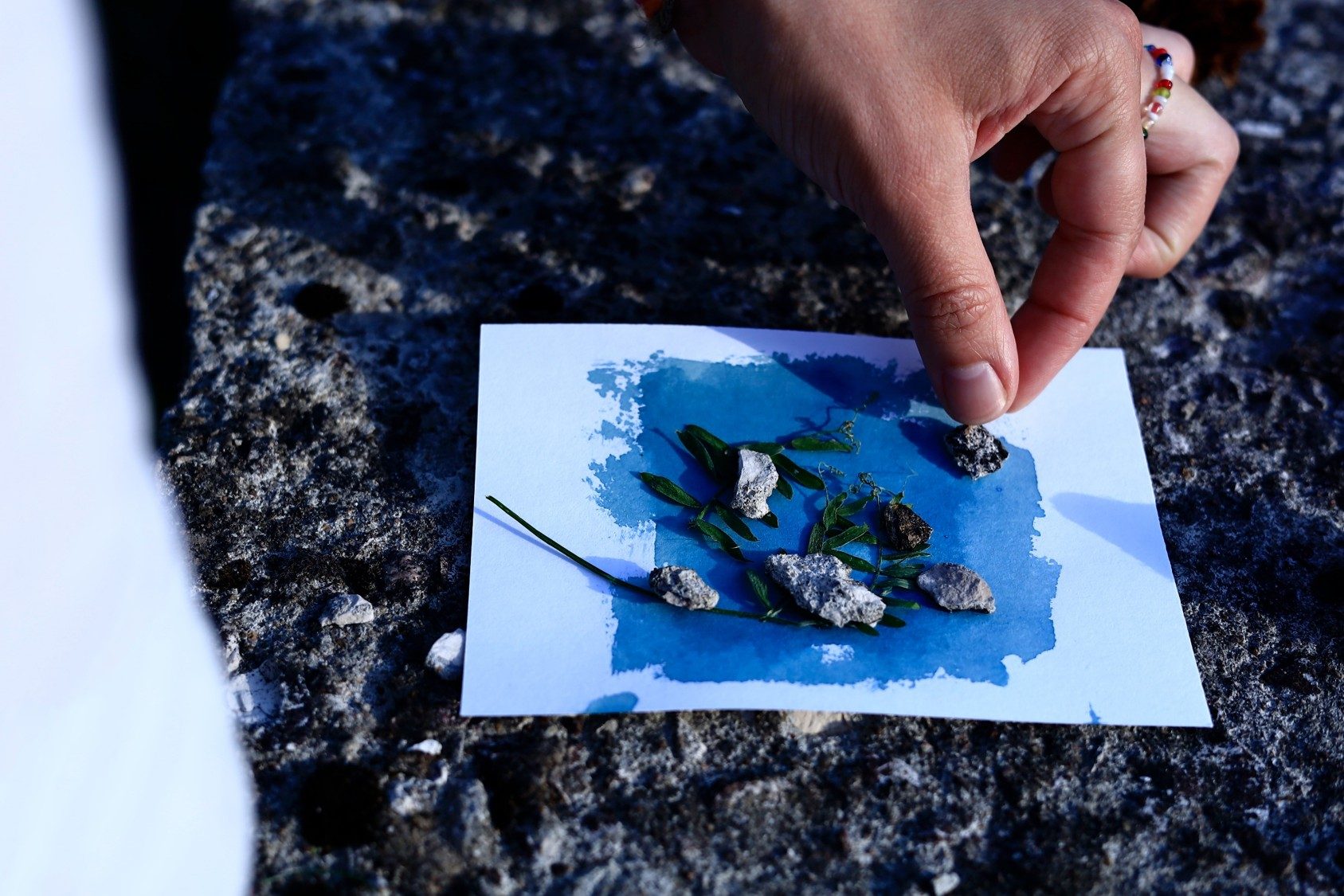 По следам синей птицы