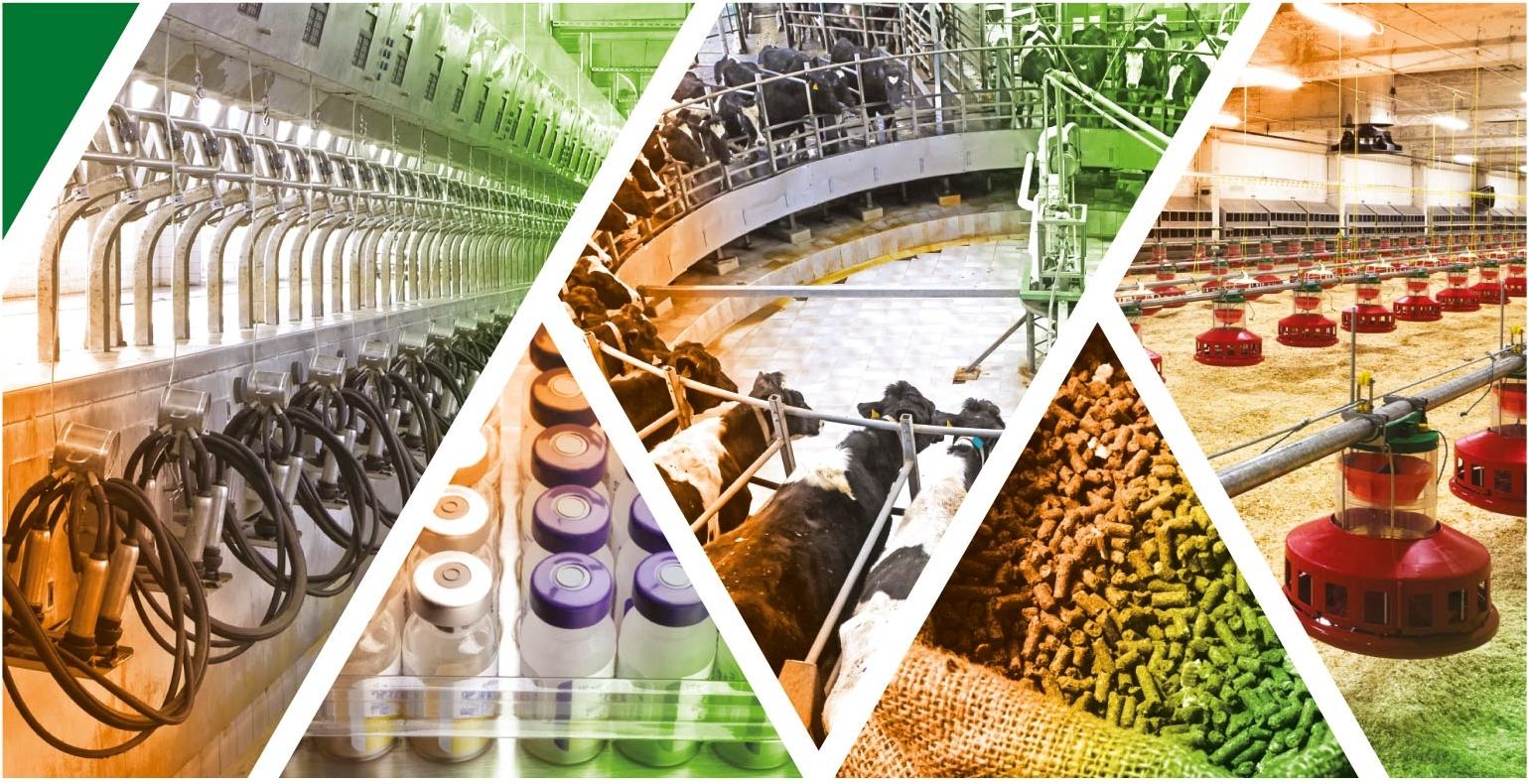 Импортозамещение энерго- и экоэффективных технологий в животноводстве и птицеводстве