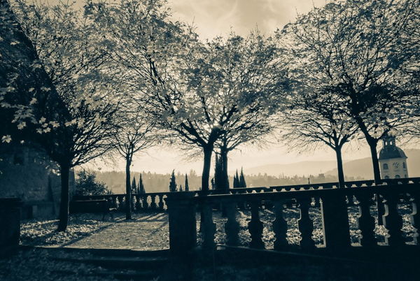 КОНТРАСТНЫЕ ТЕНИ. МИХАИЛ БУЛГАКОВ. Открытие фотовыставки, посвящённой 135-летию писателя