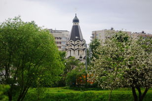 Зеленое Купчино