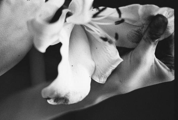 Лекция и мастер-класс «Царство флоры: ретроспектива растительных мотивов сквозь века»