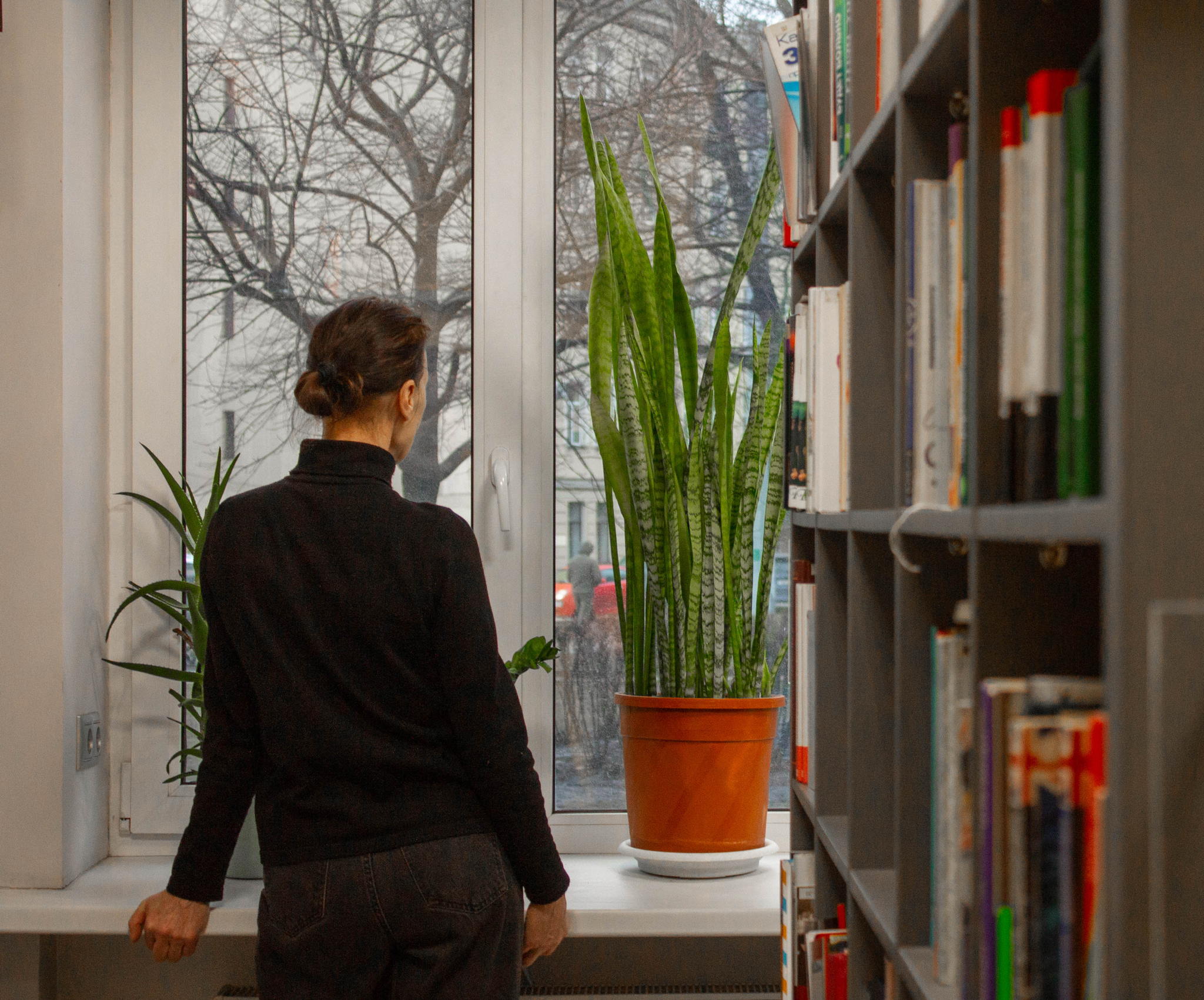 «Шум времени: читаем Мандельштама»