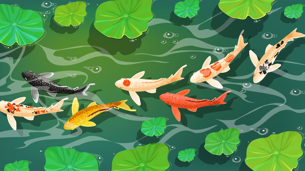 Правополушарное рисование «Рыбки Кои в пруду»