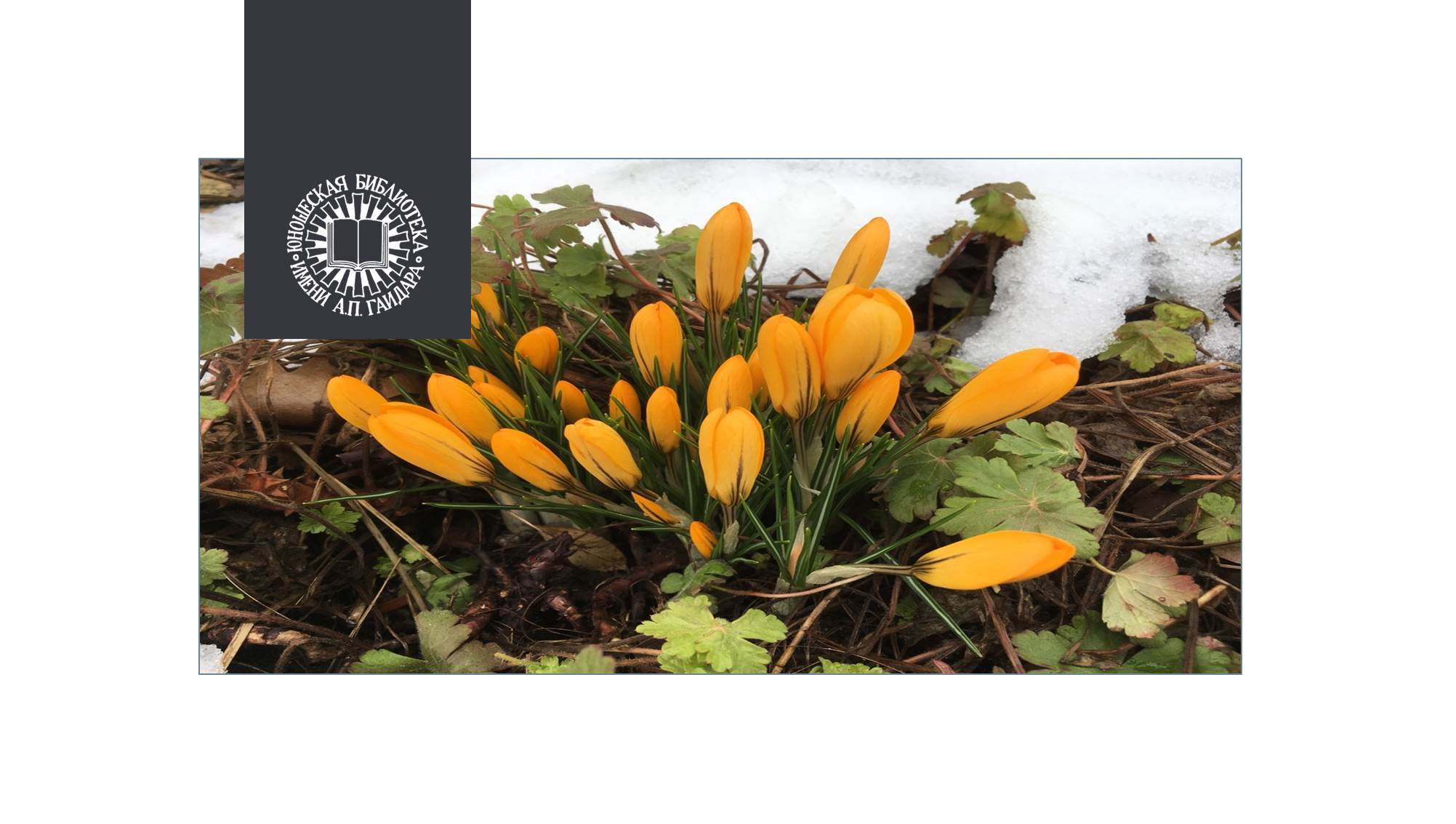 Рисуем праздничный букет для мамы акварелью