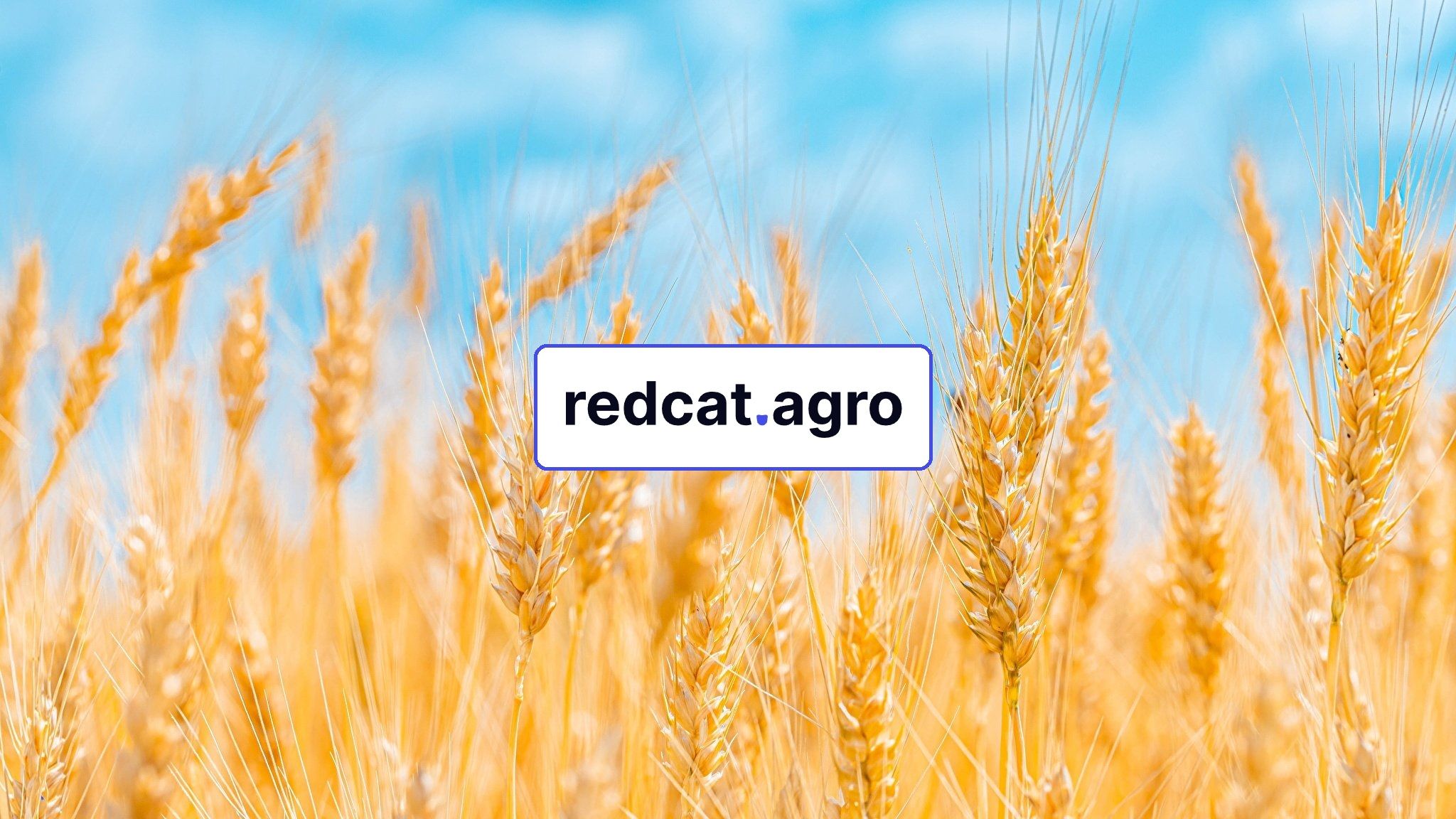 REDCAT.AGRO польза и возможности платформы