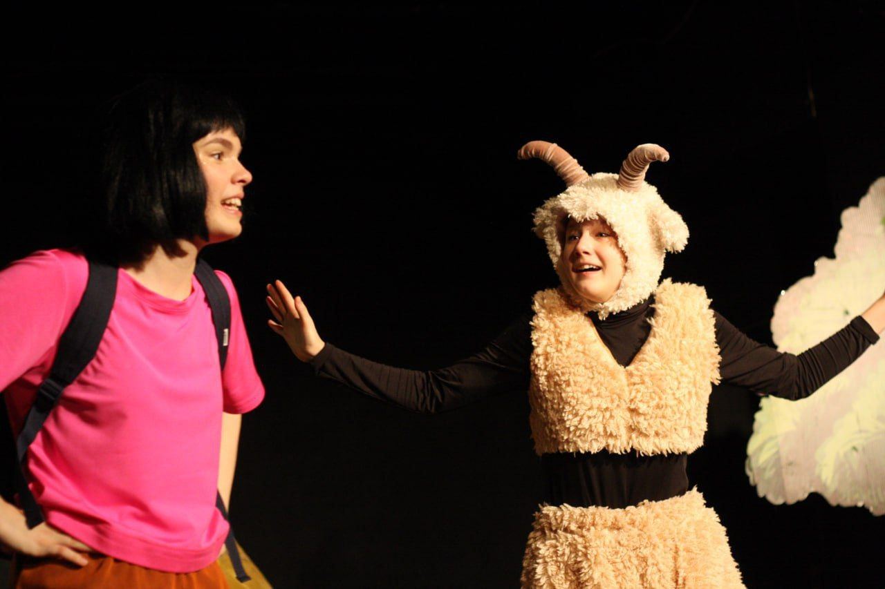 Даша Путешественница