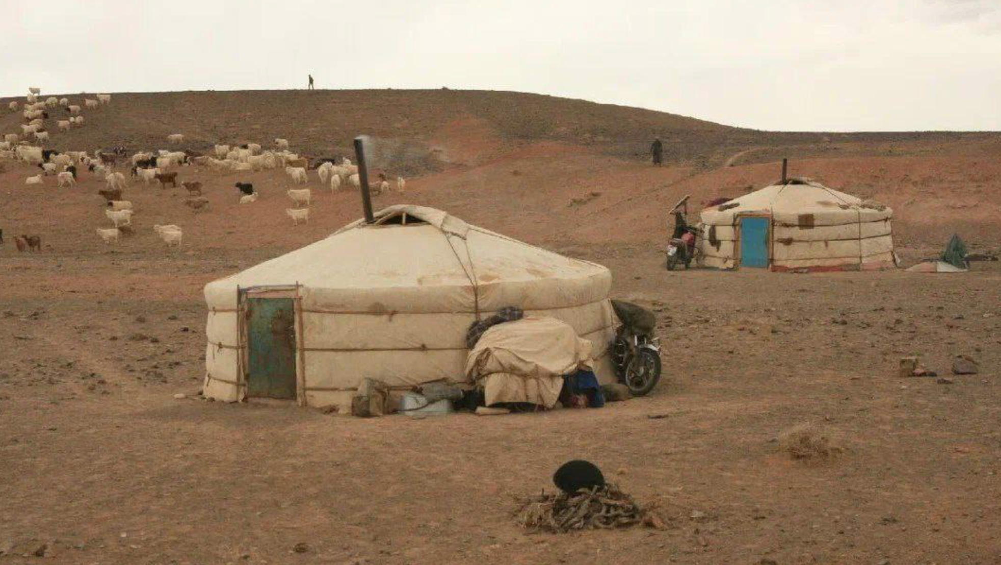 в 13:00 Этнографическая программа в монгольской юрте в Музее кочевой культуры. 8+