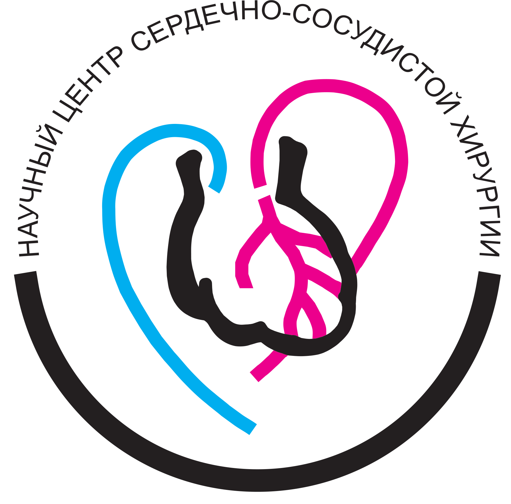 НМИЦ ССХ им.Бакулева