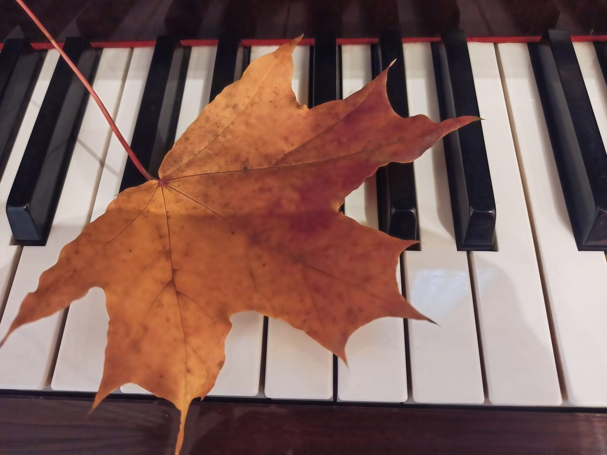 Акция «Ночь искусств» и «День народного единства». Концерт студентов Московской Государственной консерватории