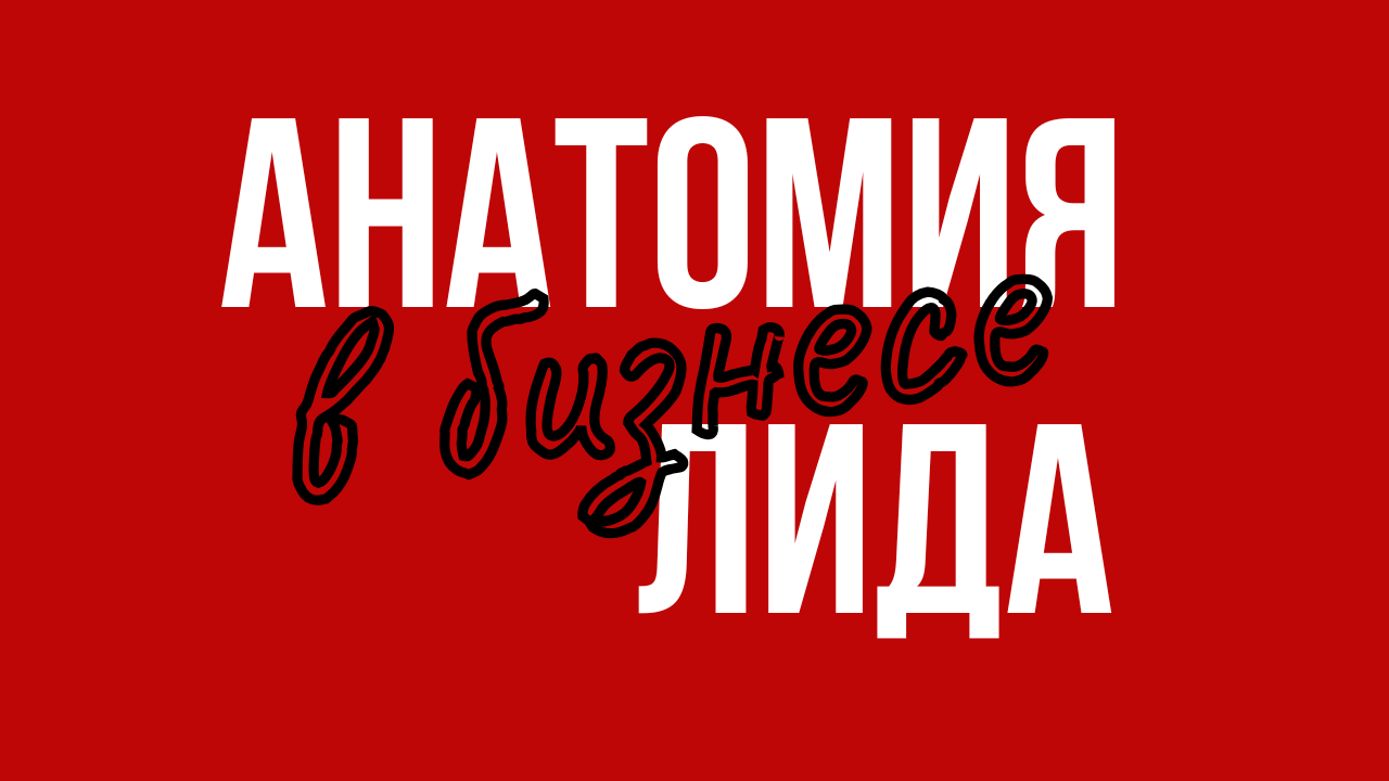 Анатомия лида