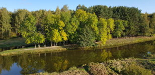 Пешеходная экскурсия «Удивительный мир Ржевского лесопарка»