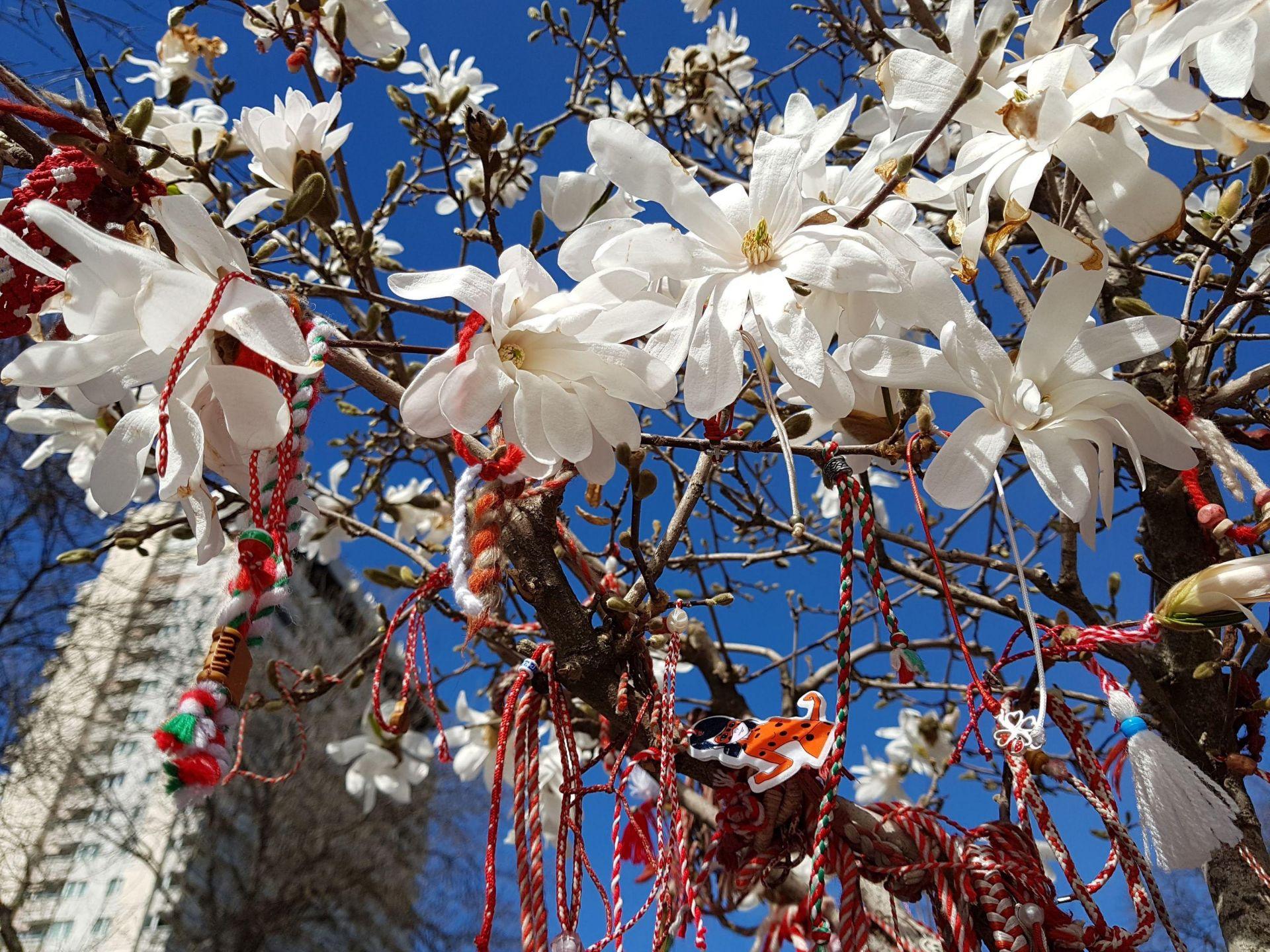 Медленные чтения на болгарском языке