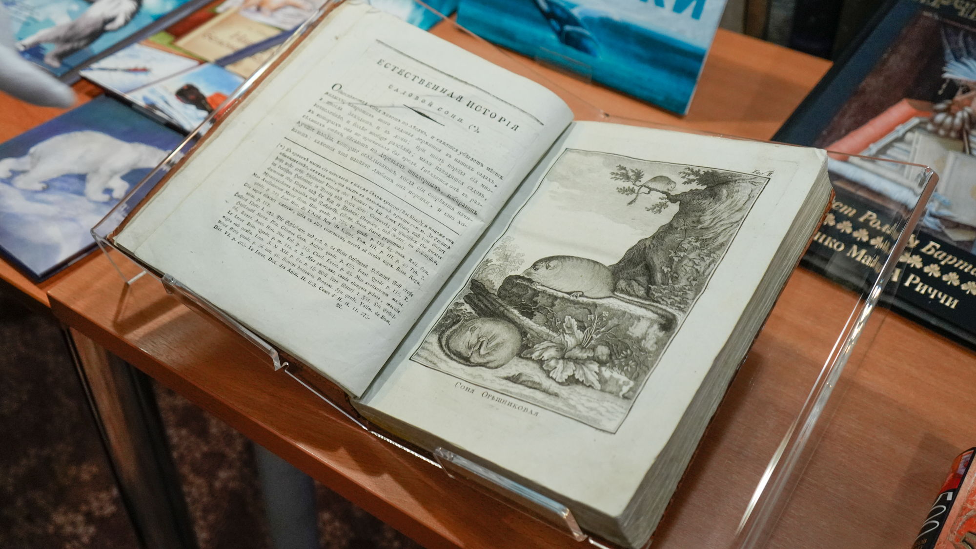 Игра-экскурсия «Книжная геолокация»