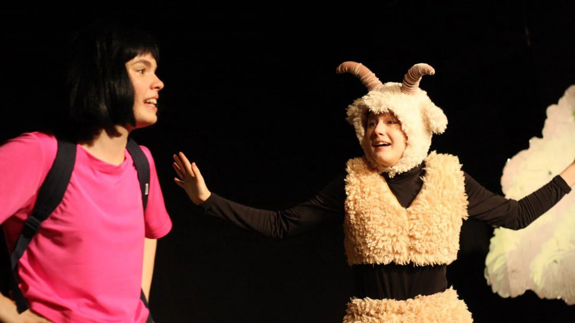 Даша Путешественница