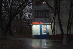 Кураторская экскурсия.