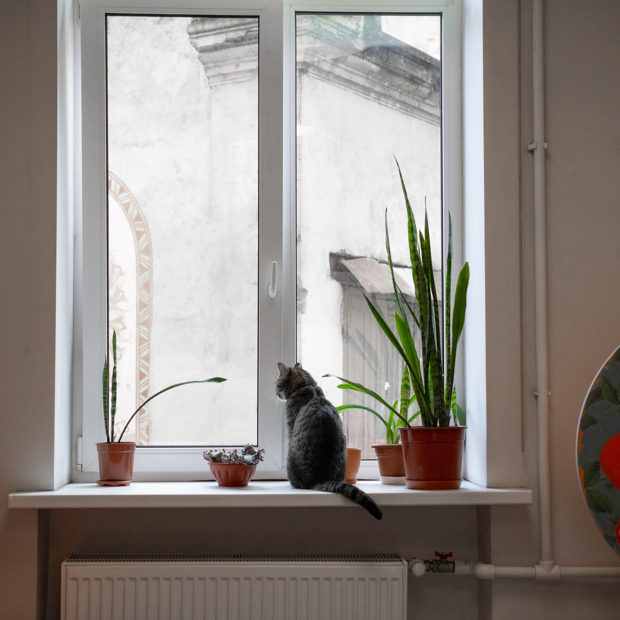 Выставка «Модерн — новый взгляд»