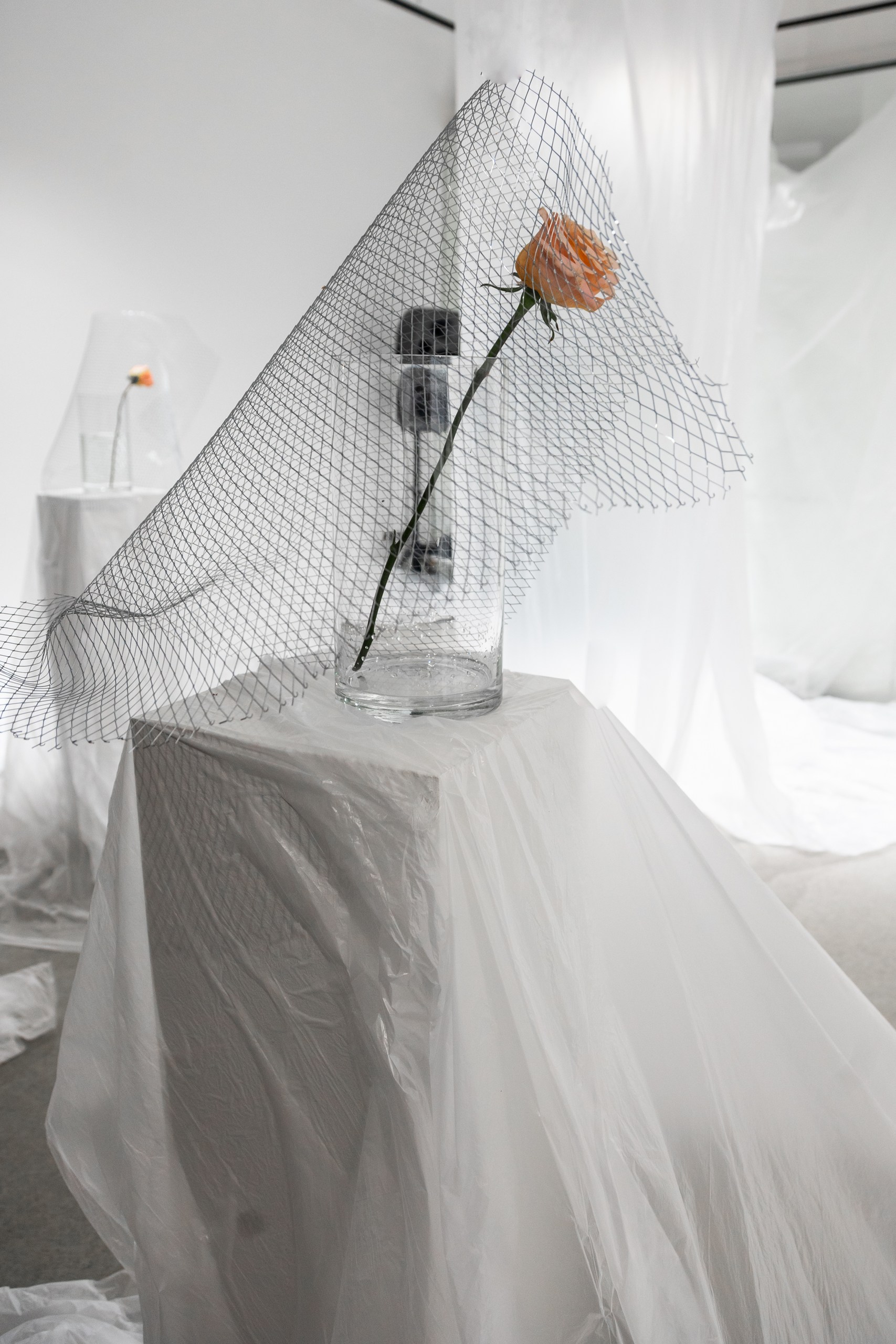 Лекция «хрупкость женщины»