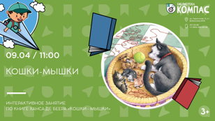 Кошки-мышки (3+) 