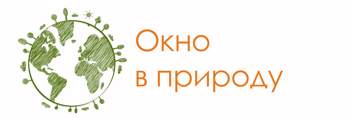 Окно в природу