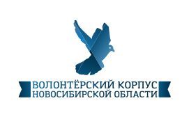 Волонтёрский корпус НСО