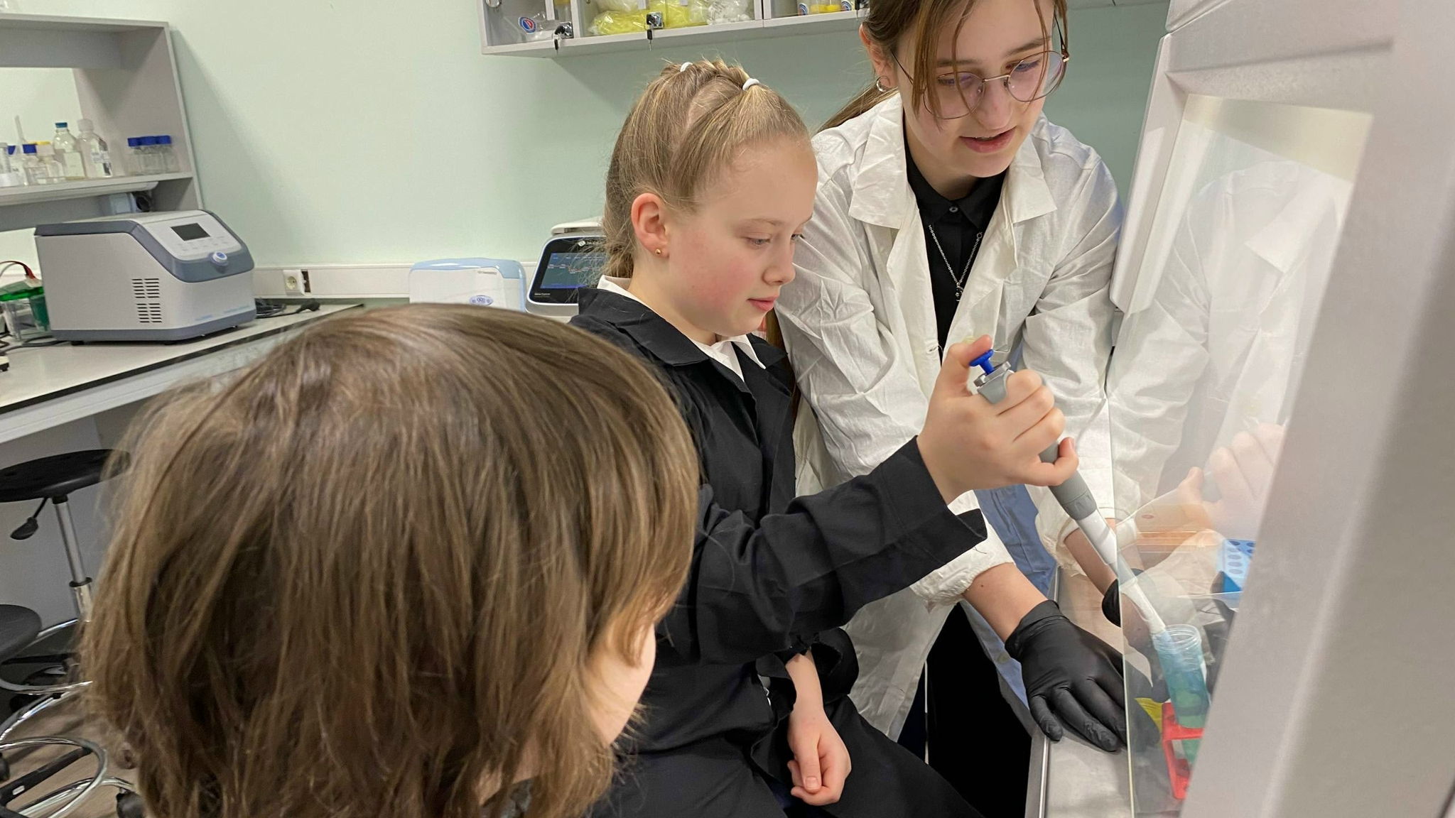 Биология цвета: как ДНК раскрашивает мир