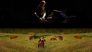 Birth of Sound: Andy Kay, Sedatic