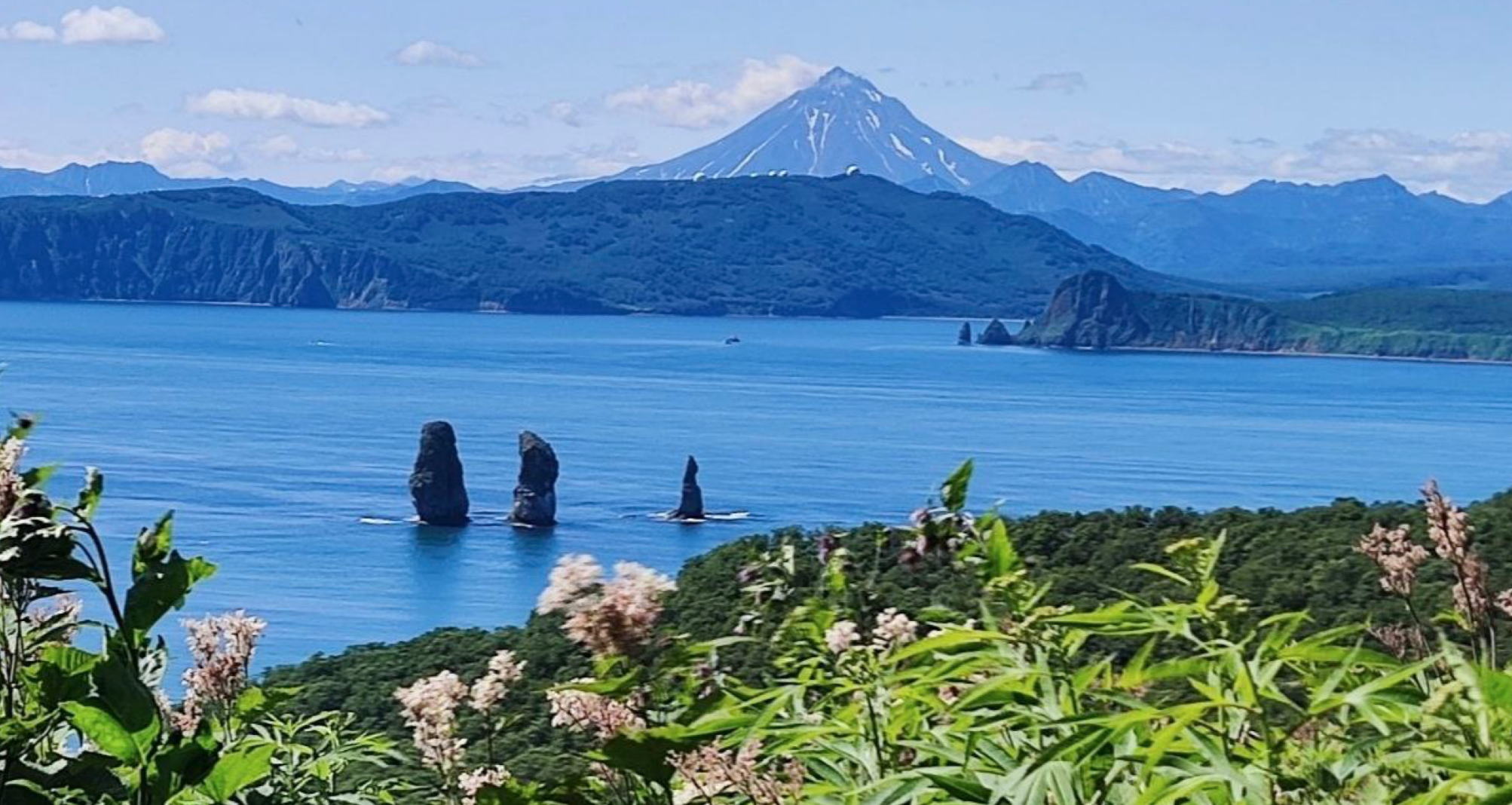 12:00 15:00 "Дальний Восток глазами геолога и биологов" с Марией Толстых, Иваном Савиновым и Еленой Ембатуровой в библиотеке им. Гайдара на Фрунзенской. 8+