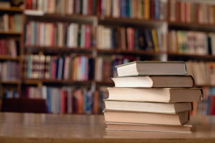 Презентация книги Анастасии Курбатовой "Птица феникс"