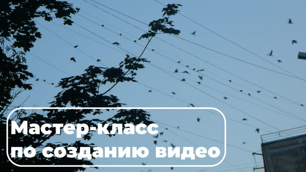 Мастер-класс по созданию видео для начинающих в локациях Северного Речного вокзала