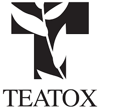 Чай TeaTox