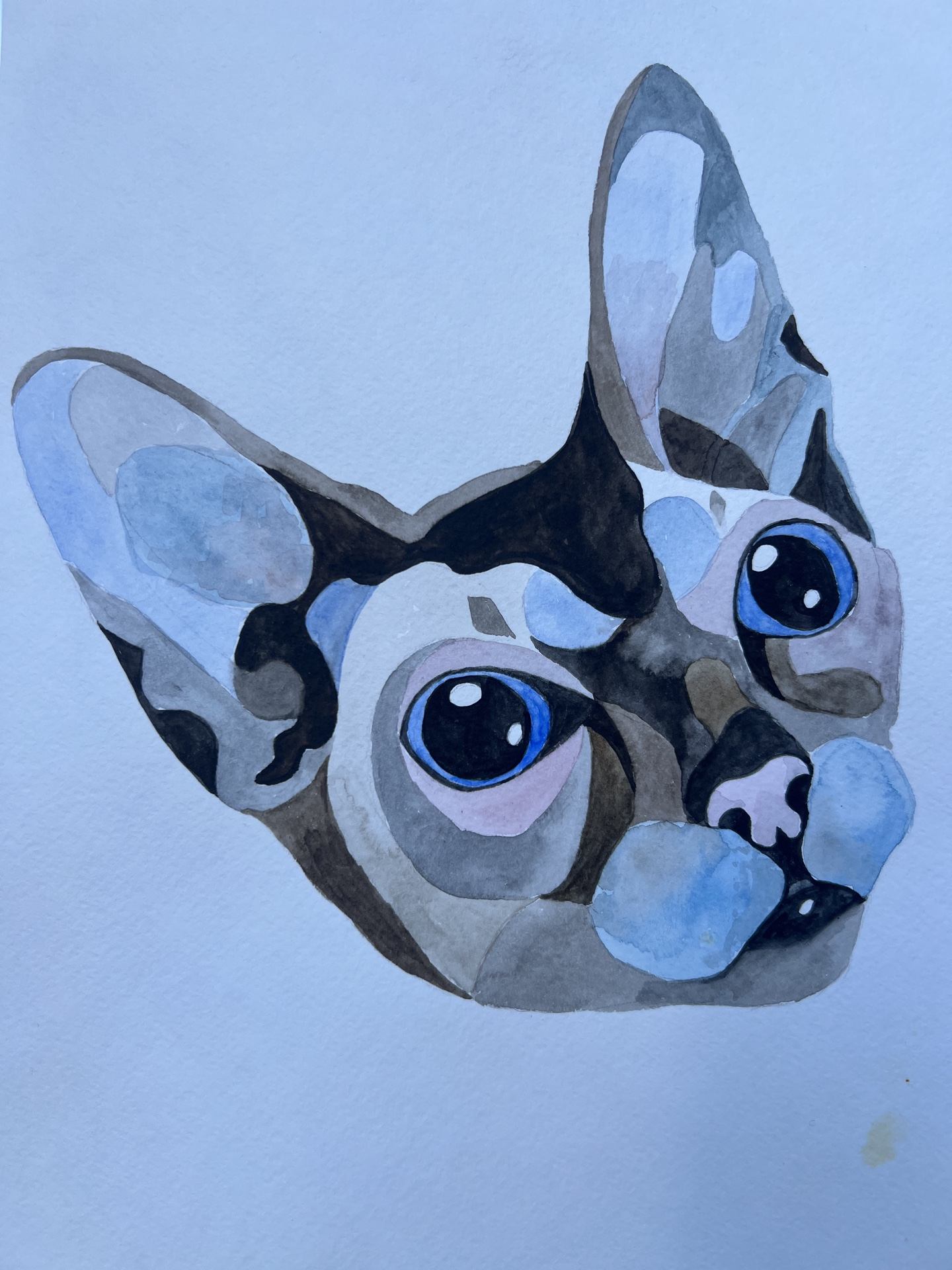 Акварельные коты