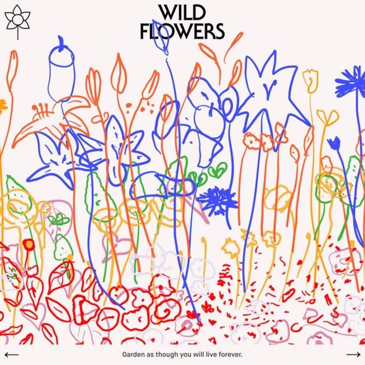 Весенняя встреча «Привет, Весна» (3+) в Зеленой Школе х Парк Горького