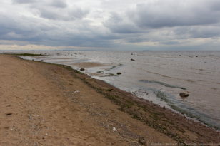 Презентация проекта «Водные машинерии» Университета ИТМО и Цюрихского университета искусств