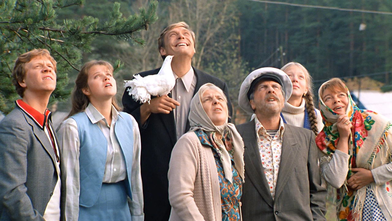 Фильм «Любовь и голуби», 1984. (к/т «Иллюзион», Большой зал)