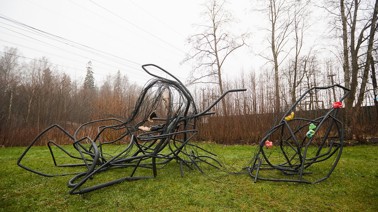 Медиация по выставке "Где начинается речь дерева"