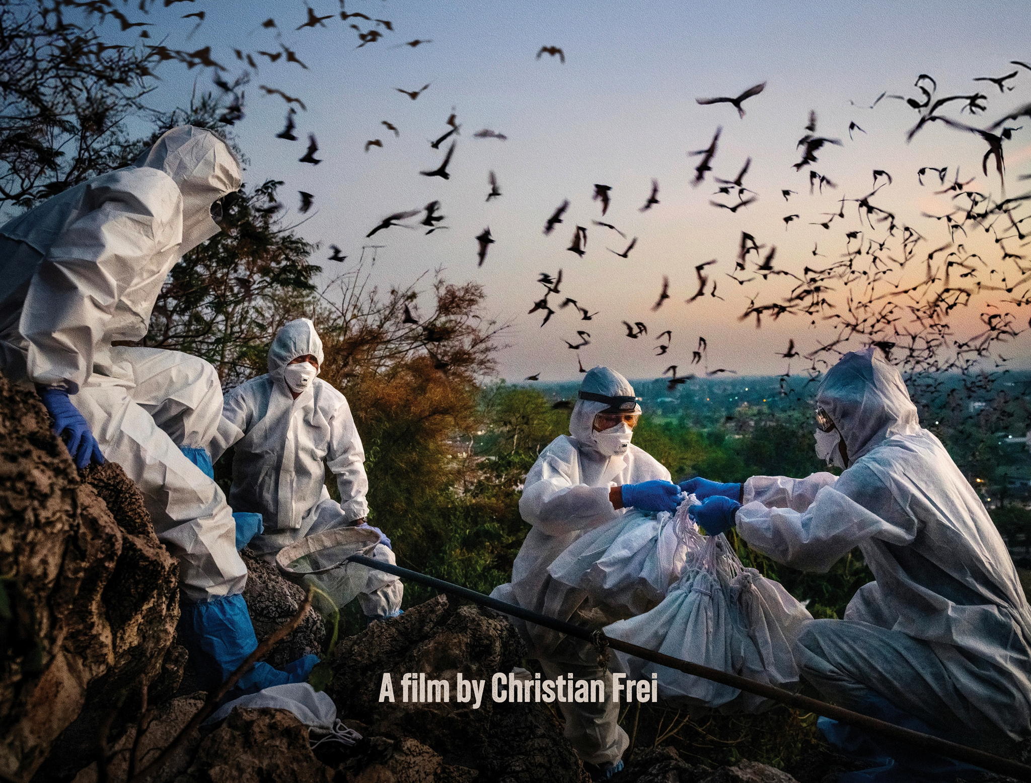 Вирус лжи / Blame