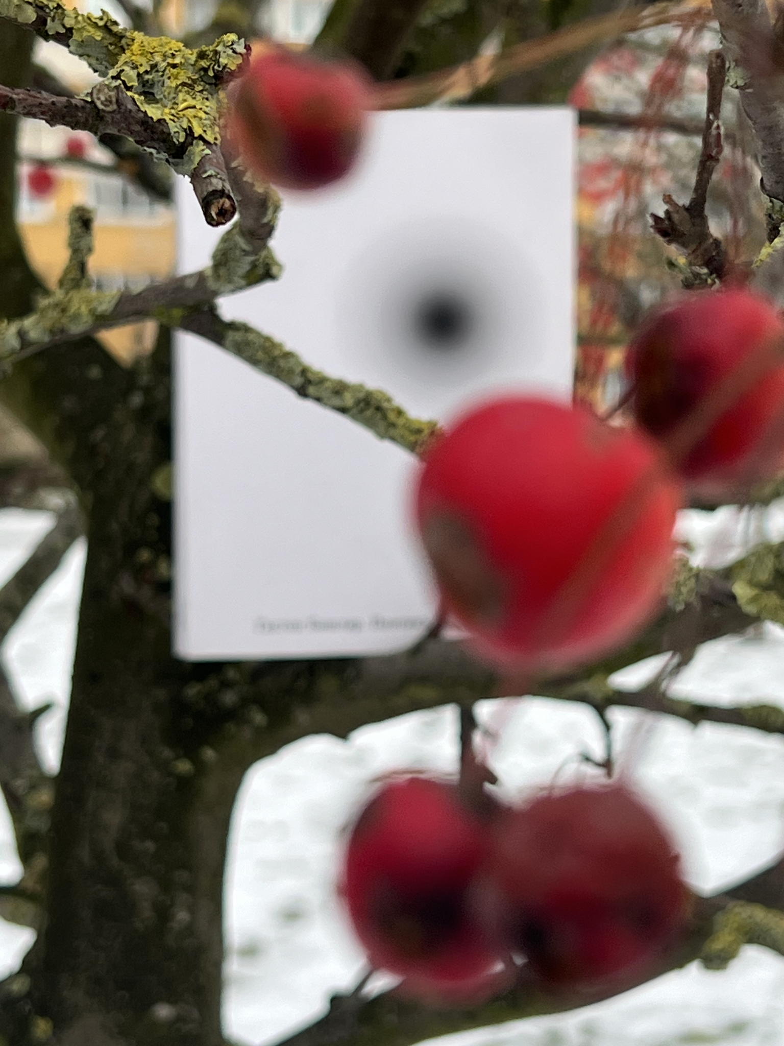 Ридинг-группа по воскресеньям. Поэтика пространства. Драматургия окраин