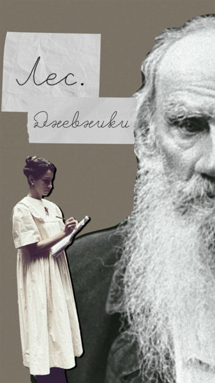 Лес.Дневники