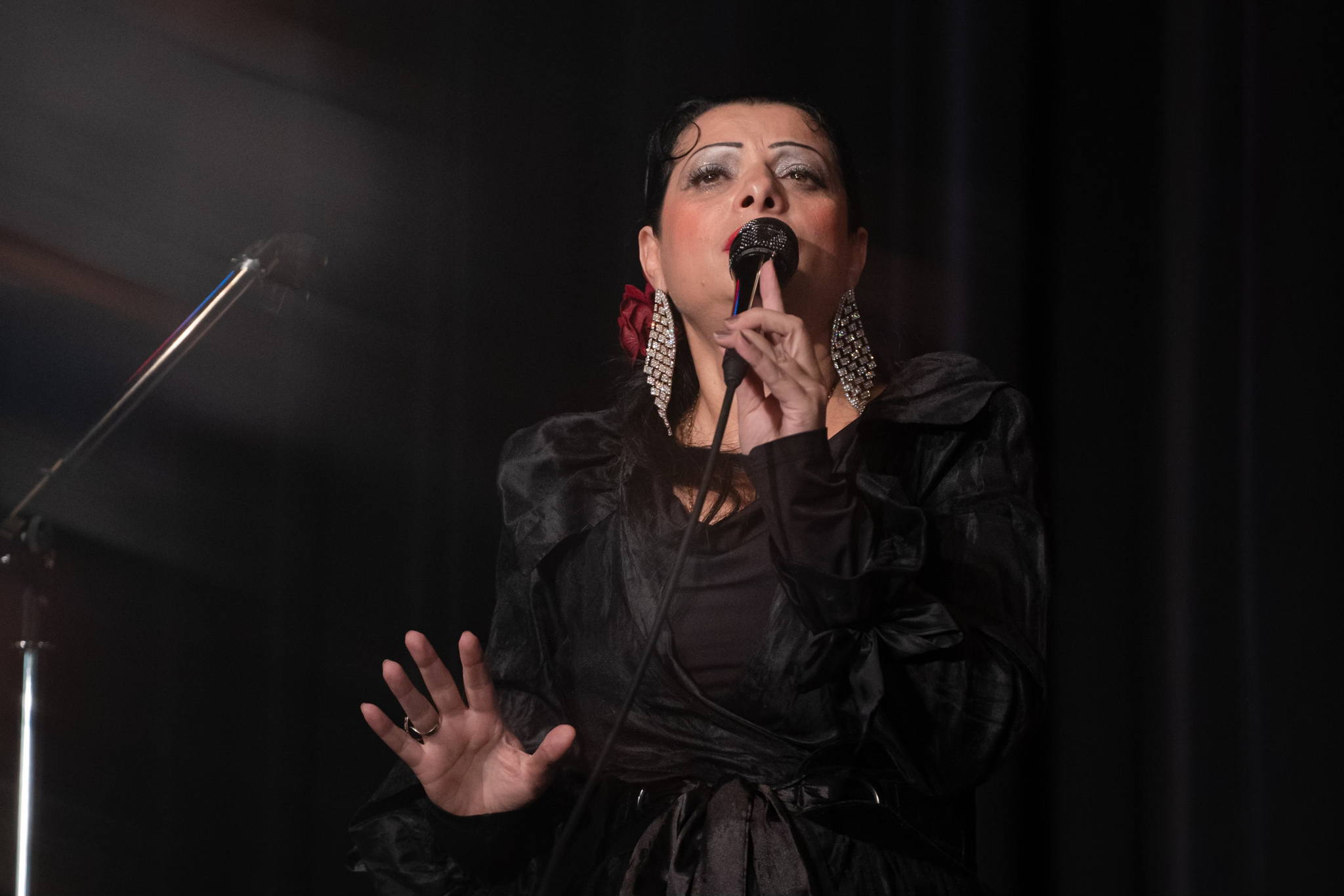 Открытая творческая встреча-концерт с Еленой-Изабеллой Осиповой